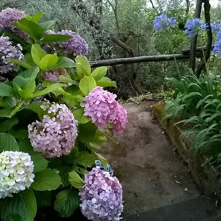 Bed & Breakfast La Santarella *